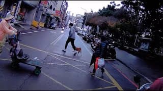 看看這個停讓行人的傻子