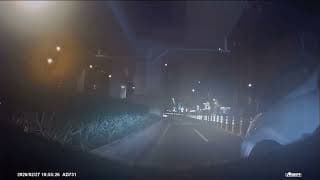 駕駛在機車道停駛並倒退，眼睛瞎了，耳朵也聾了
