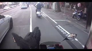 猴子扭扭，錢錢飛走（檢舉成功）