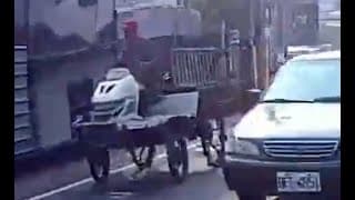 看拼裝車看到差點出事