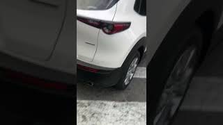 輔英科大在校園內行人一樣還是很可悲