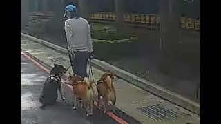 不可以色色