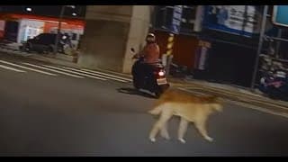 這真的看不到