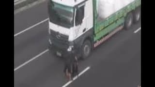 國道一號北斗段 學長拯救米克斯