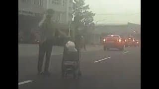 汪：主人我好怕