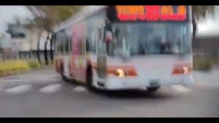 差點被違規職業駕死（公車）送下去