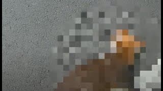 山羌:　我真的沒想到會有第二次（內有屍體、自摔）