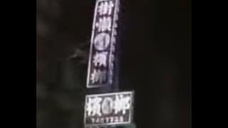 樹懶叫檳榔車禍