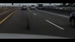 輪仔掉了是要怎麼開？