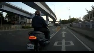 猴子出來晨跑了